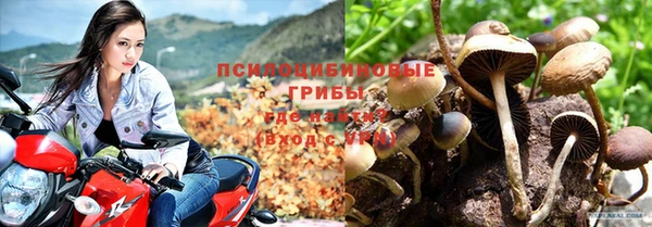 Альфа ПВП Бронницы