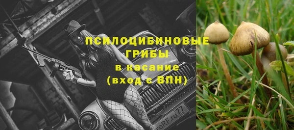 2c-b Лагань