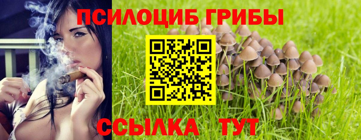 Вичуга  Галлюциногенные грибы ЛСД  Вход с VPN  Галлюциногенные грибы MAGIC MUSHROOMS 