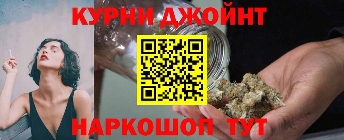 Бошки Шишки планчик Вичуга